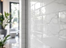 Fughe della doccia pulite con metodi naturali