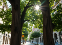 la bellezza del verde urbano e il rispetto per lambiente 1746596166