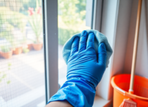 scopri come pulire le zanzariere in modo facile e divertente 1750084077